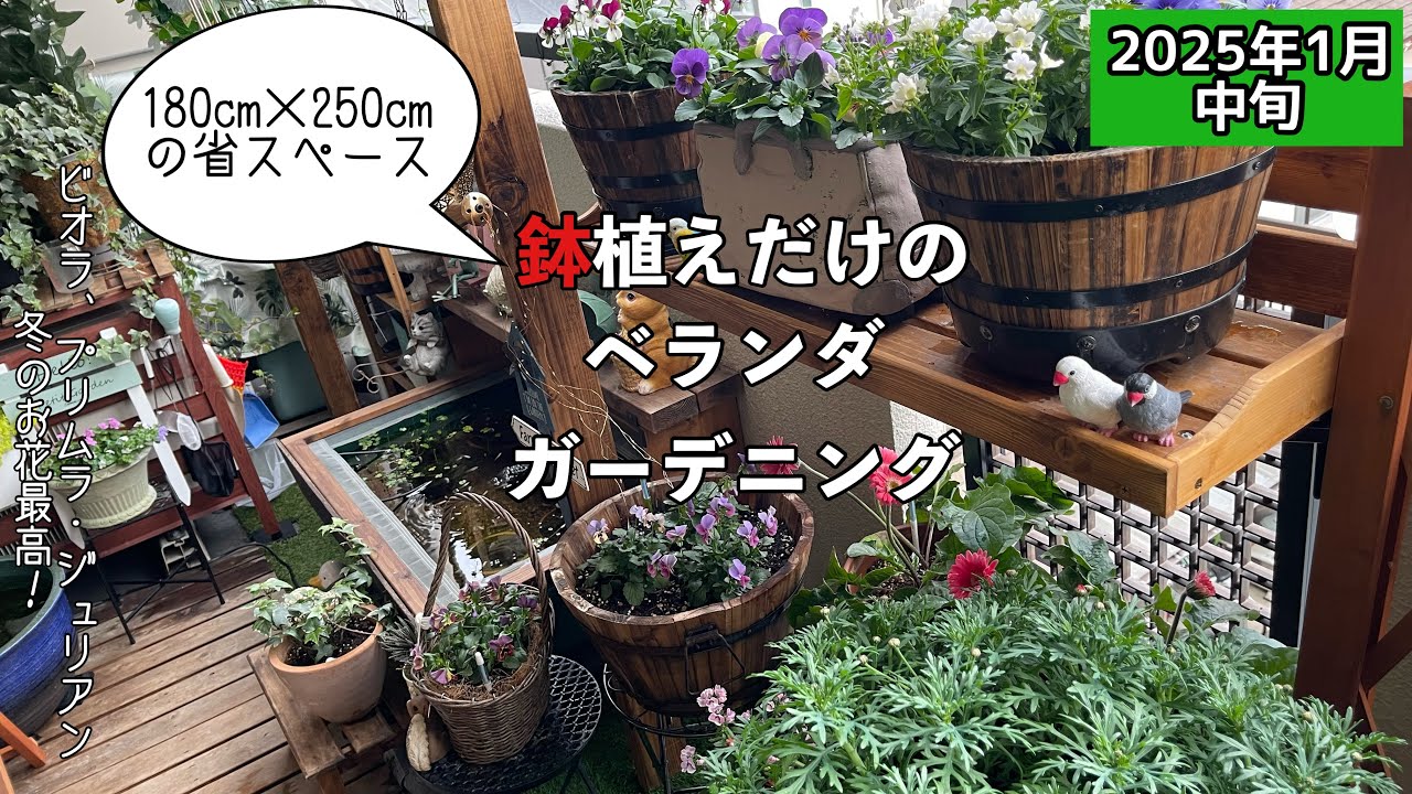 【ガーデニング】【省スペース】小春日和のベランダガーデニング