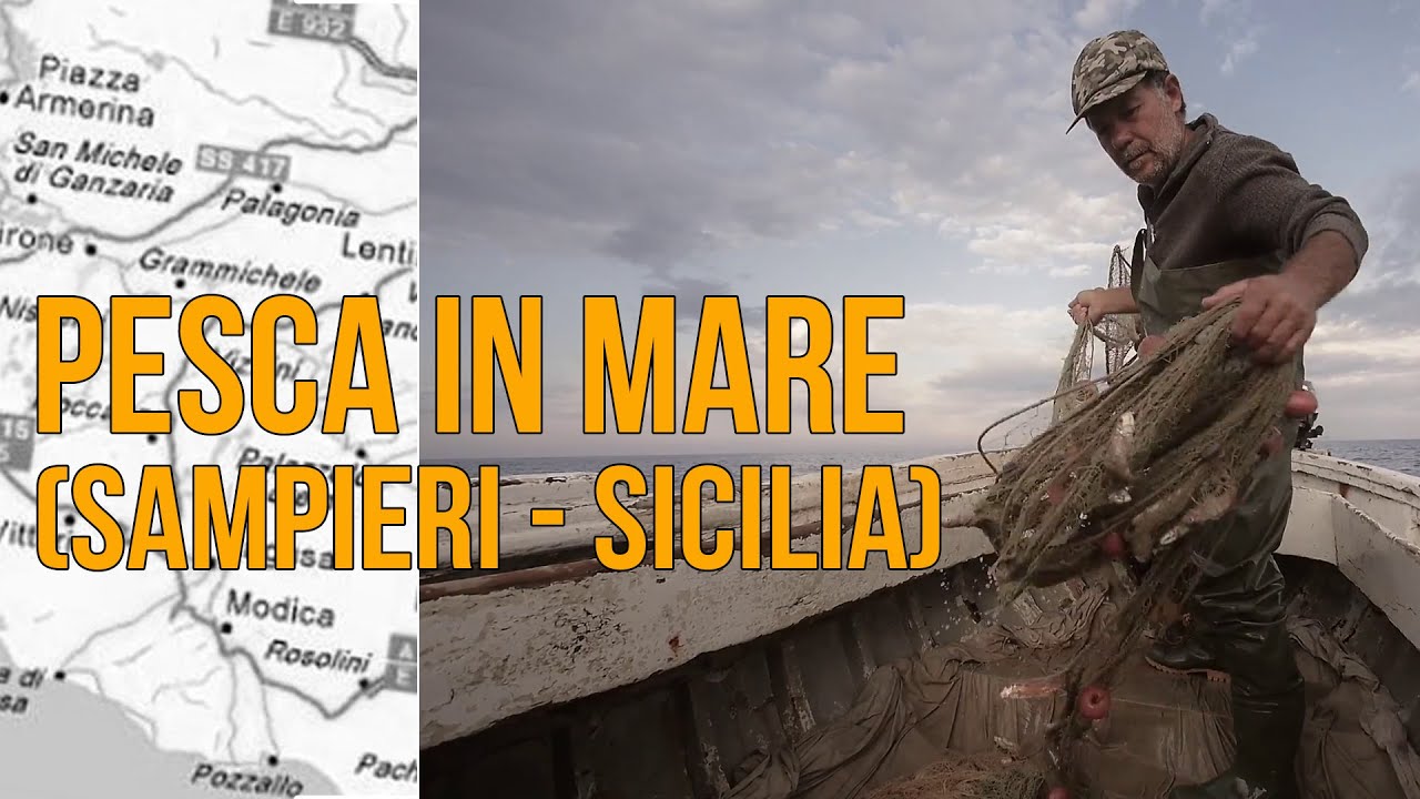 PESCA in mare in SICILIA: le TRADIZIONI che stanno scomparendo (Fuoristagione 15)