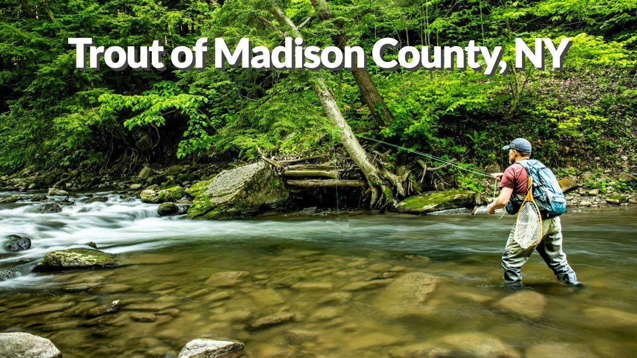 Trout of Madison County, NY | An Amazing Day of Fly Fishing