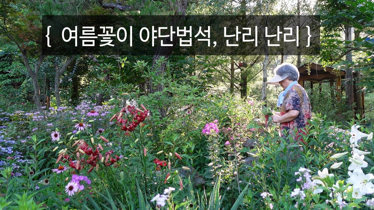 너와 나, 우리의 여름밤｜EP.96