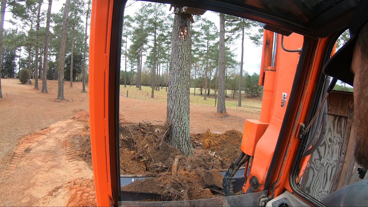 Kubota KX080 | Removing Trees and Installing Shop Pad