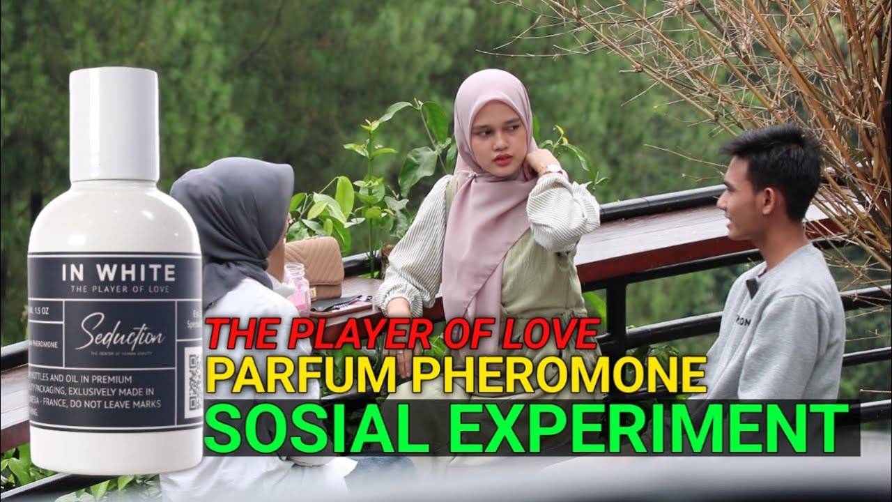 SOSIAL EKSPERIMEN PARFUME PHEROMONE‼️SEDUCTION IN WHITE THE PLAYER OF LOVE