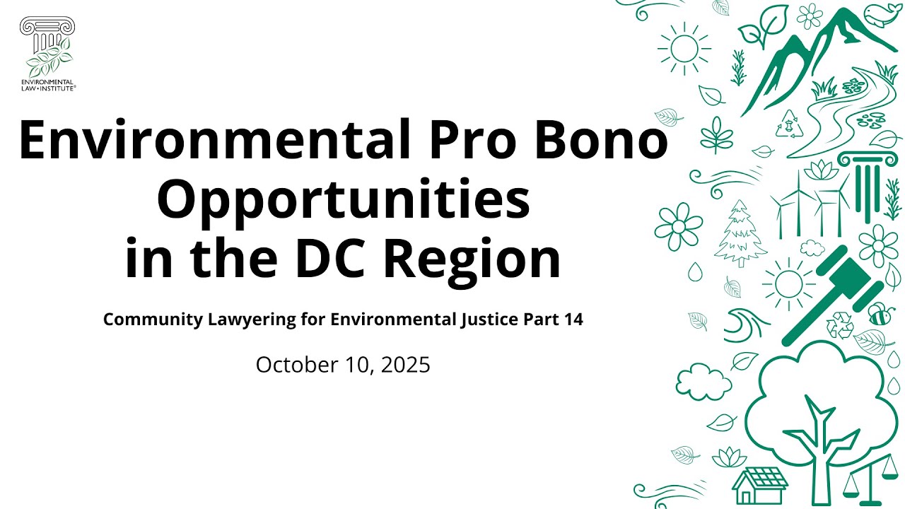 Возможности благотворительной экологической помощи в округе Колумбия