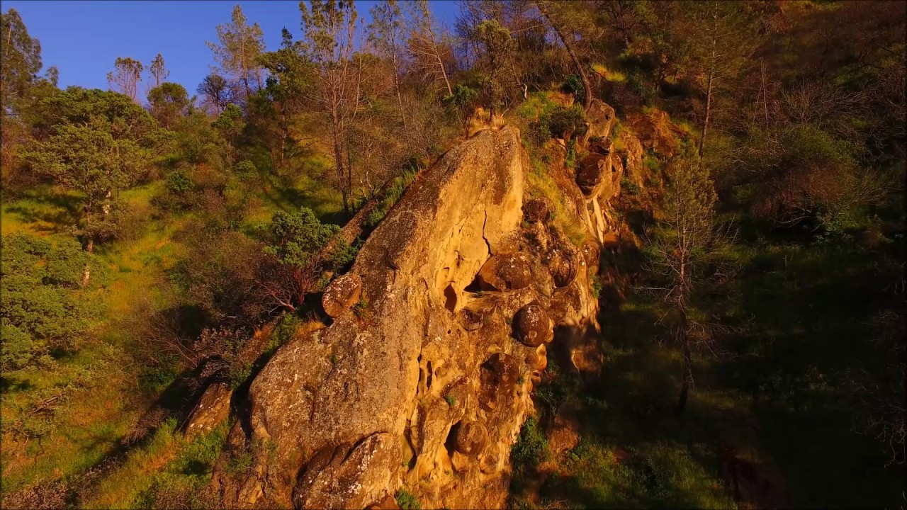 Drone footage of chupacabra