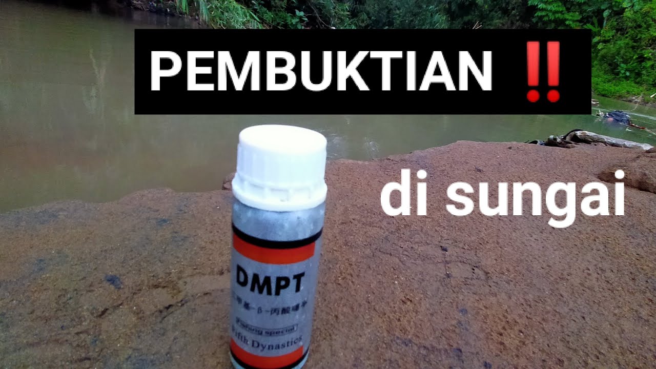 Pembuktian DMPT di sungai