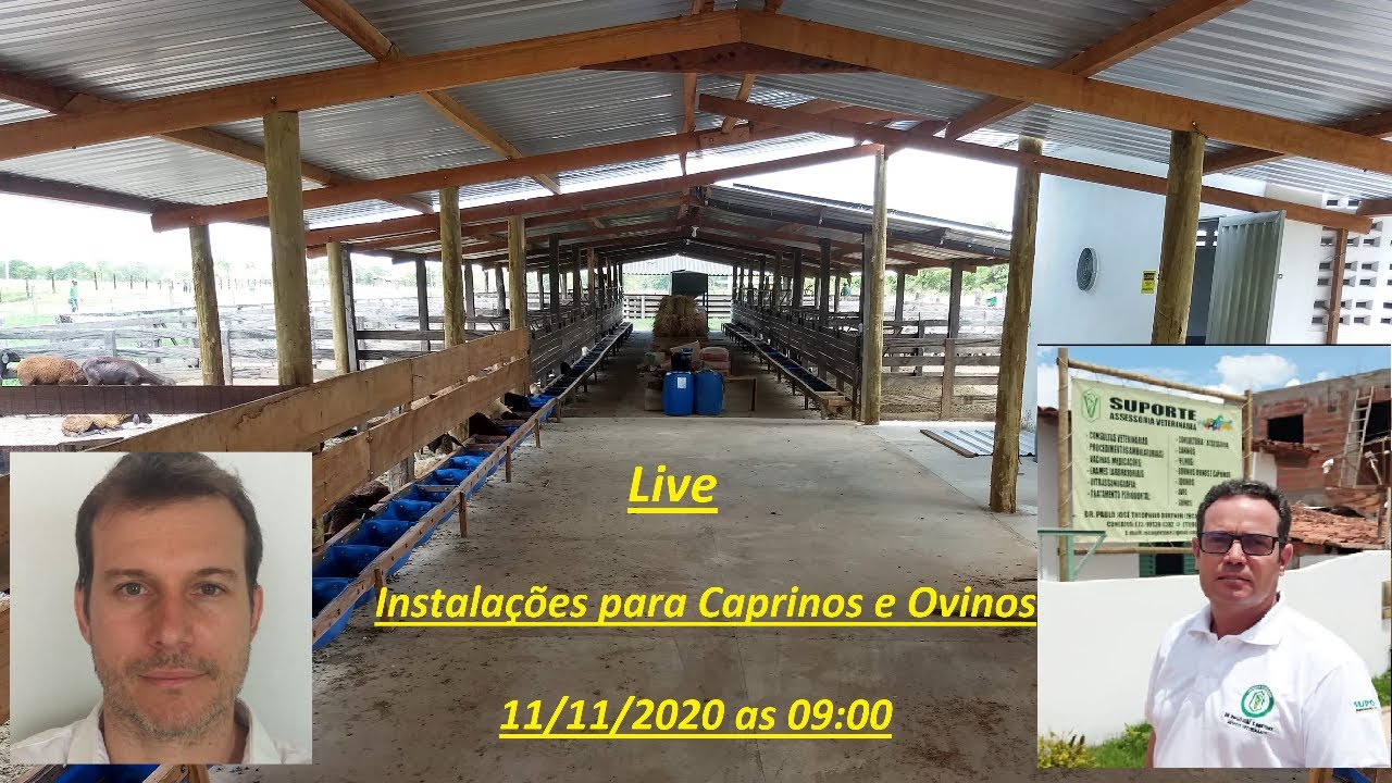 LIVE - Instalações em Caprino e Ovinocultura - Paulo José Theophilo Gertner (Zeca)