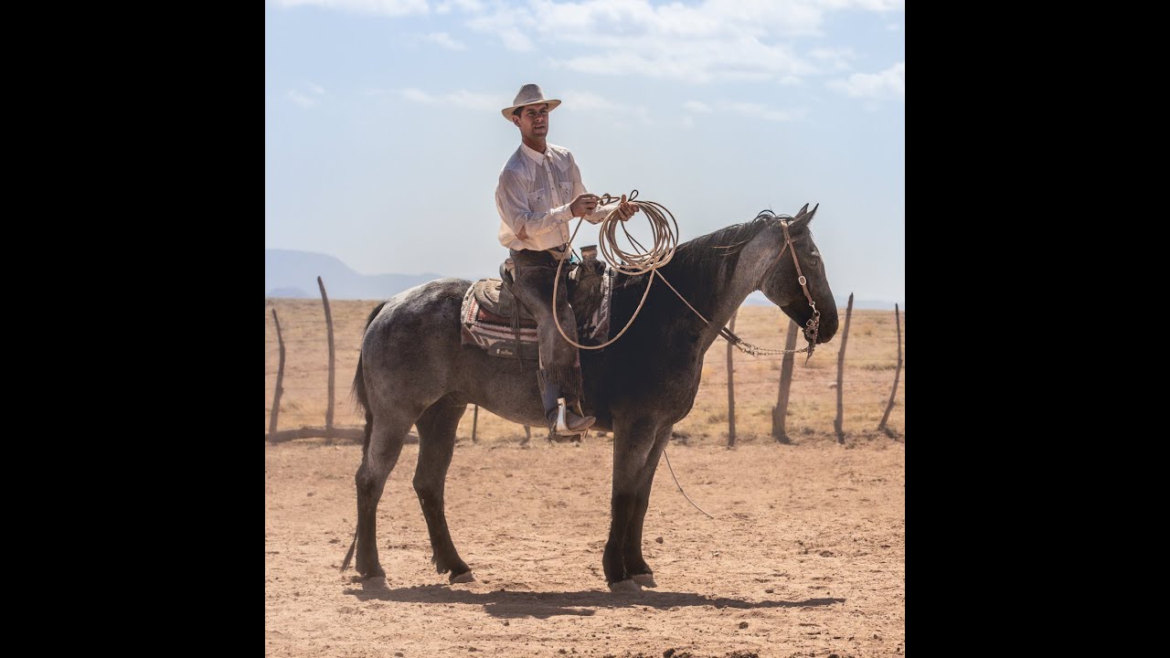 How to Properly Measure Your Horse's Mouth for a Bit