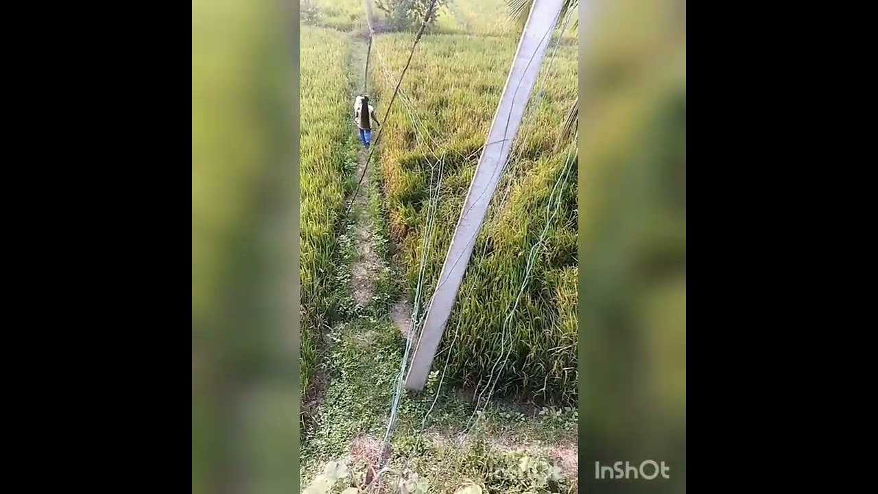 dhan ka katora