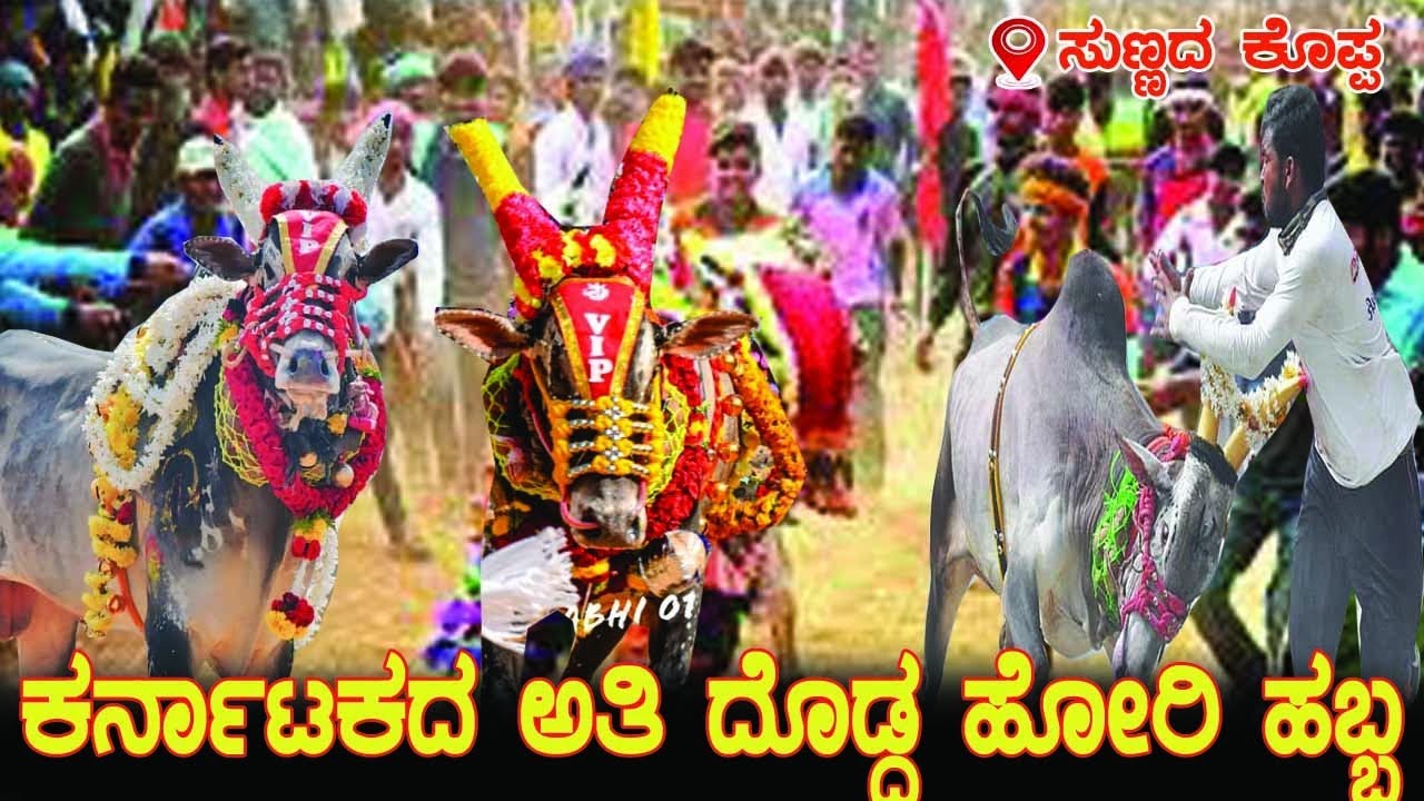 ಕರ್ನಾಟಕದ ದೊಡ್ಡ ಹೋರಿ ಹಬ್ಬ ಸುಣ್ಣದ ಕೊಪ್ಪ /Karnataka biggest Hori Habba