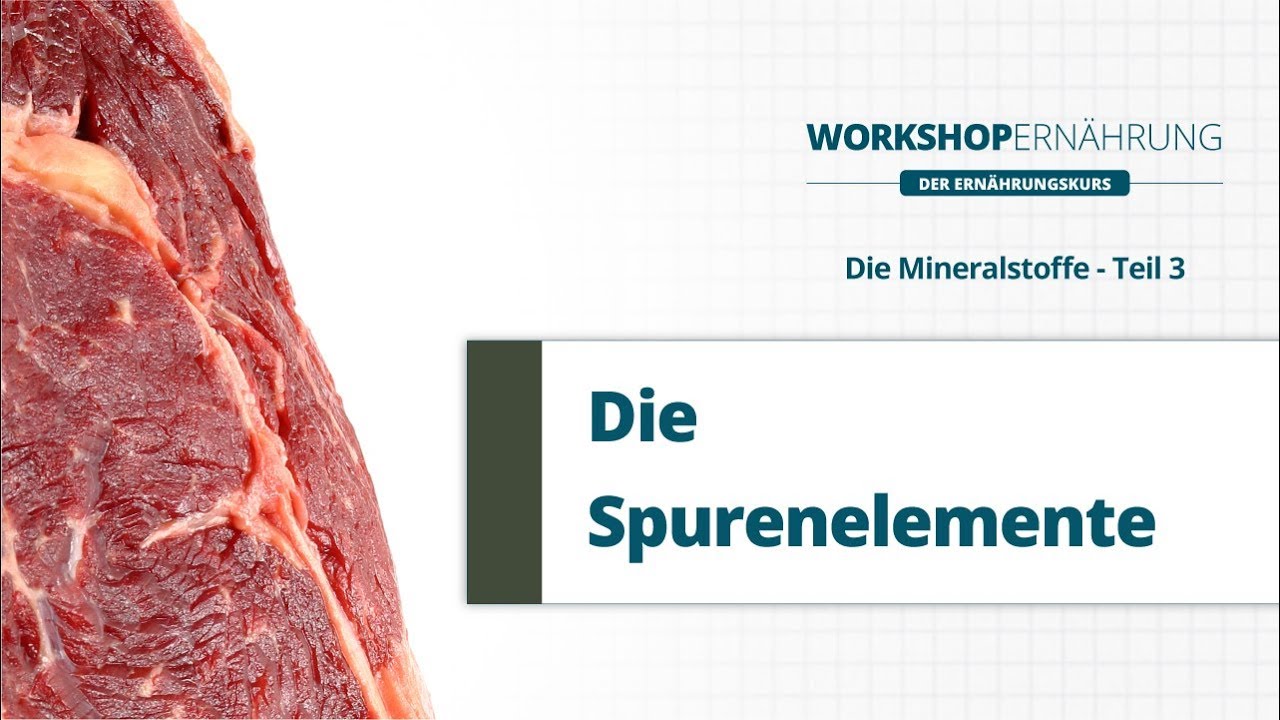 MINERALSTOFFE (3/3): Die Spurenelemente | Workshop Ern&auml;hrung