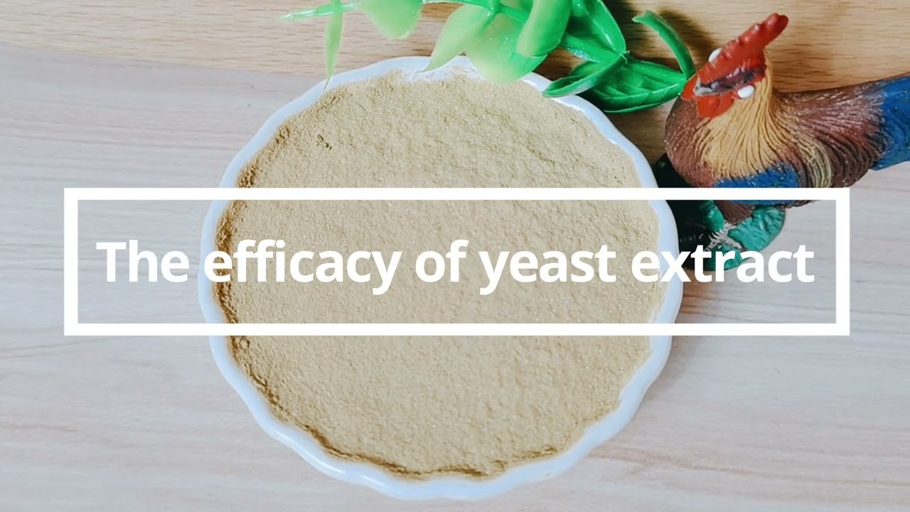 Yeast Extract used for Animal Nutrition