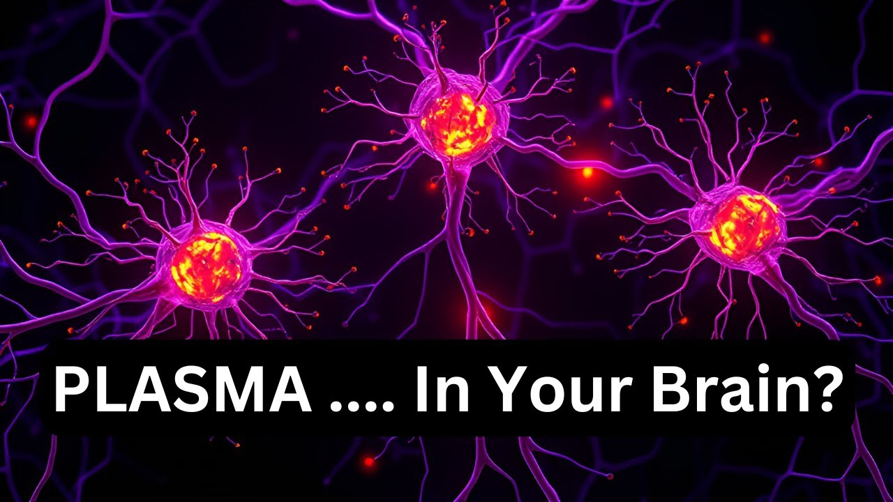 Plasma Brain Dynamics: Could Consciousness Be Plasma-Like?