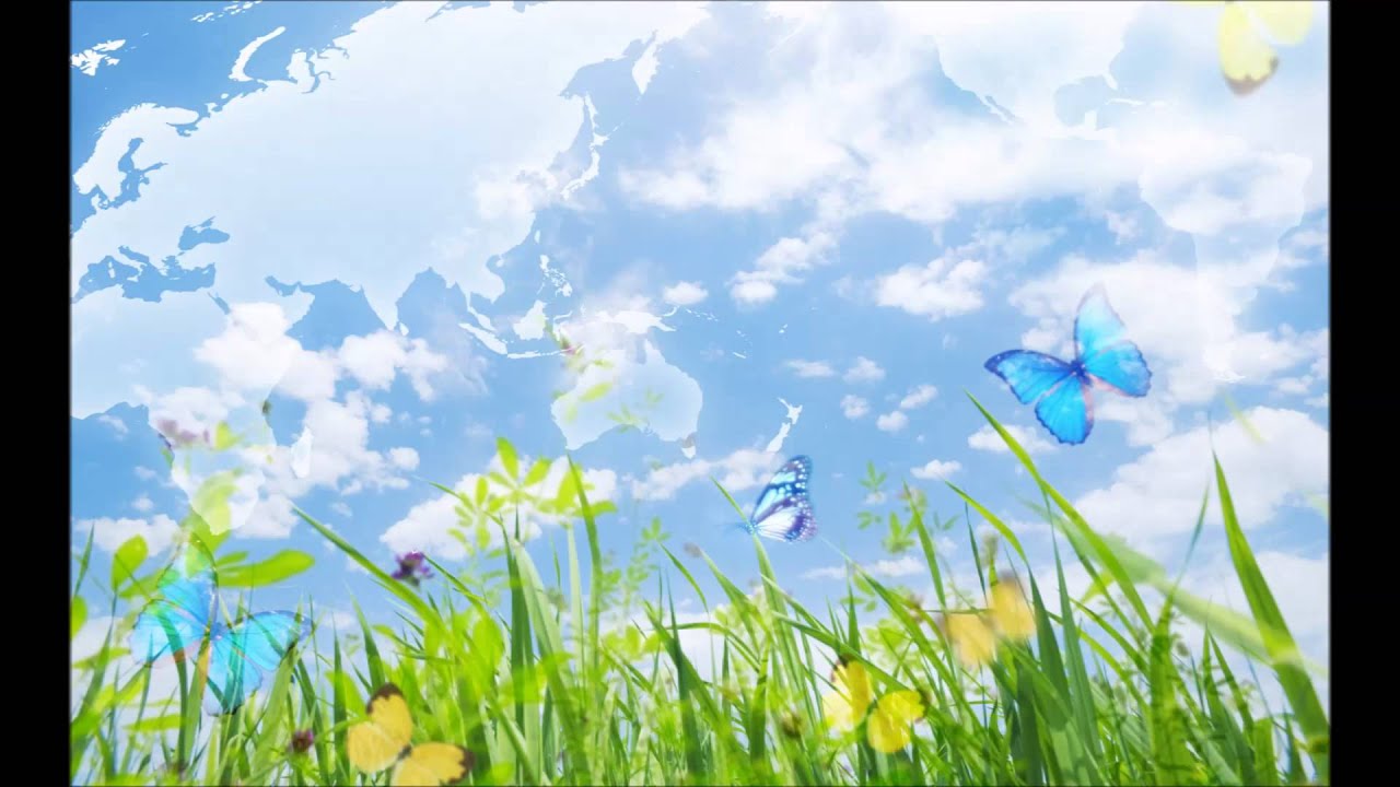 Sherman Noir - 100 000 Butterflies -