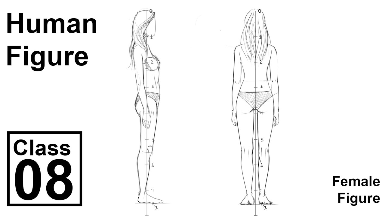 Female figure Side and Back View step by step (Class - 8)