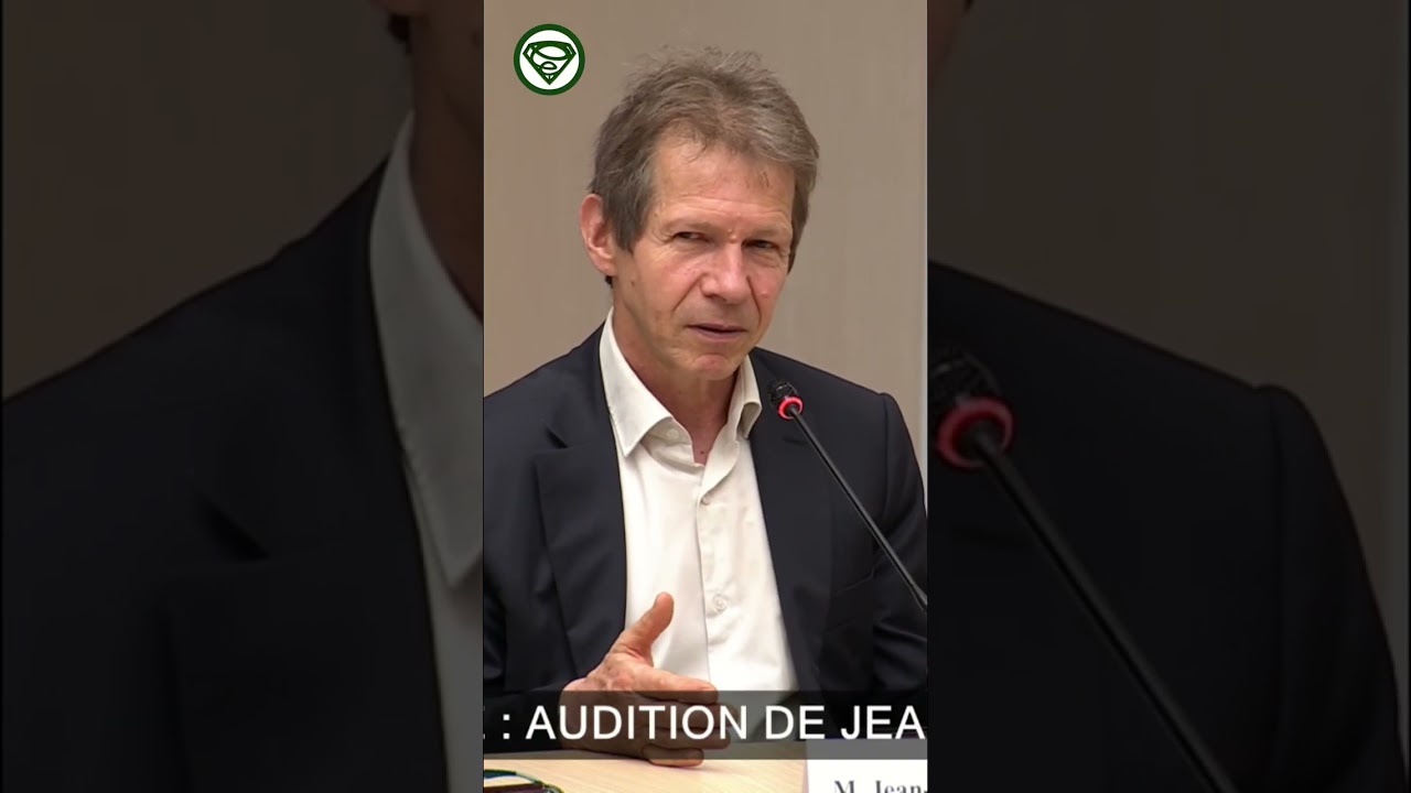 Jean-Marc Jancovici explique l&rsquo;efficacit&eacute; &eacute;lectrique !