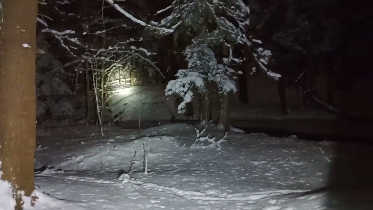 WHEN I SAID IT LOOKS WEIRD IN PILE OF SNOW, IS IT SOMETHING?