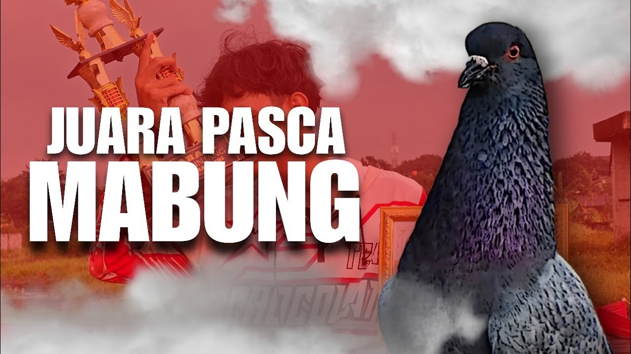 MERPATI BOCIL JUARA PASCA MABUNG