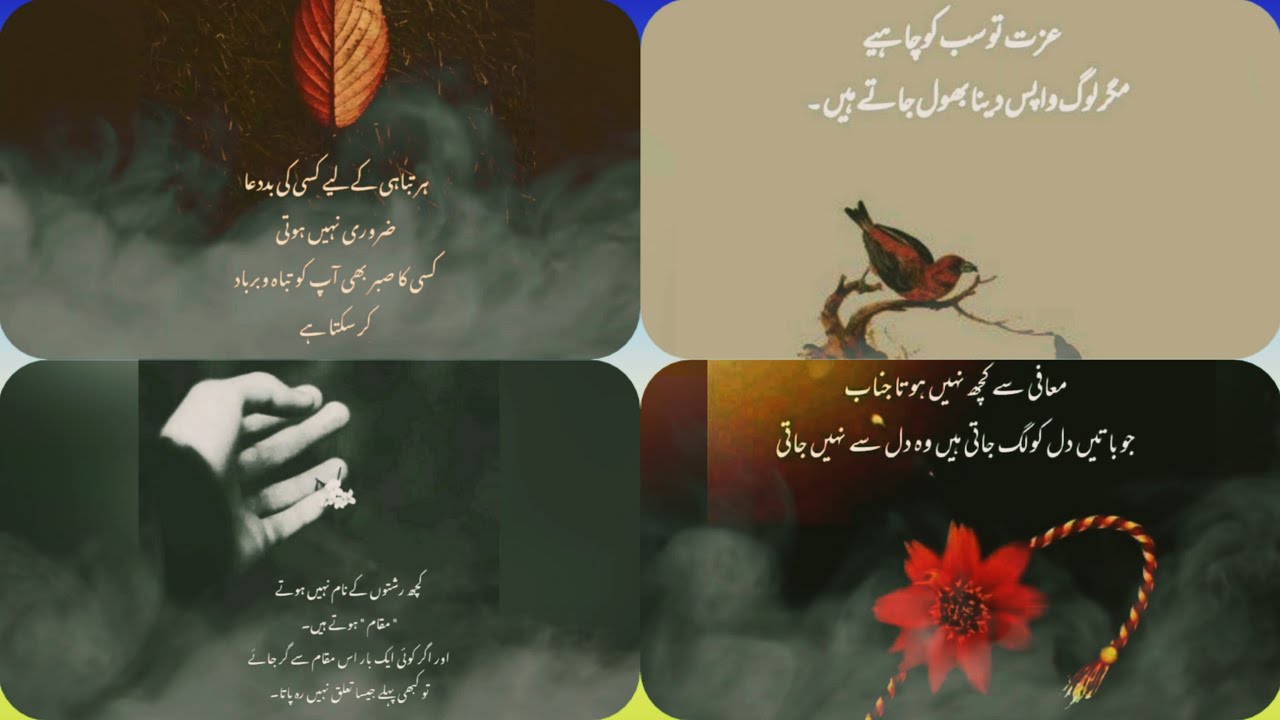 Best Islamic Motivational Speech In Urdu Rumi Golden Words Motivational Life Changing Quotes