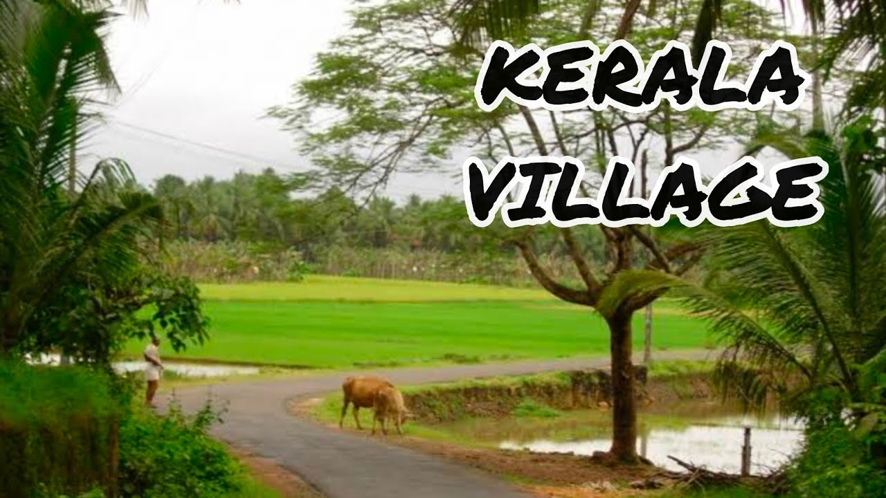 kerala village life | National strike 
