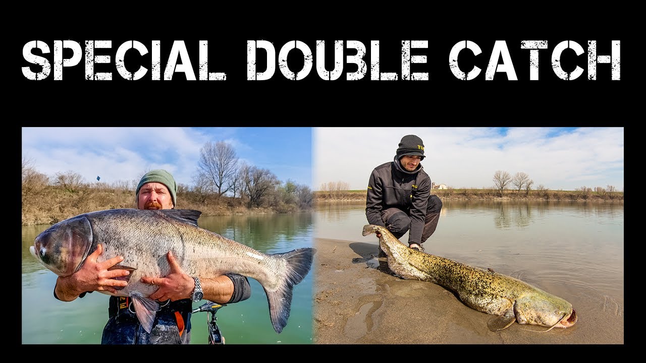 Special Double Catch - CATFISHING