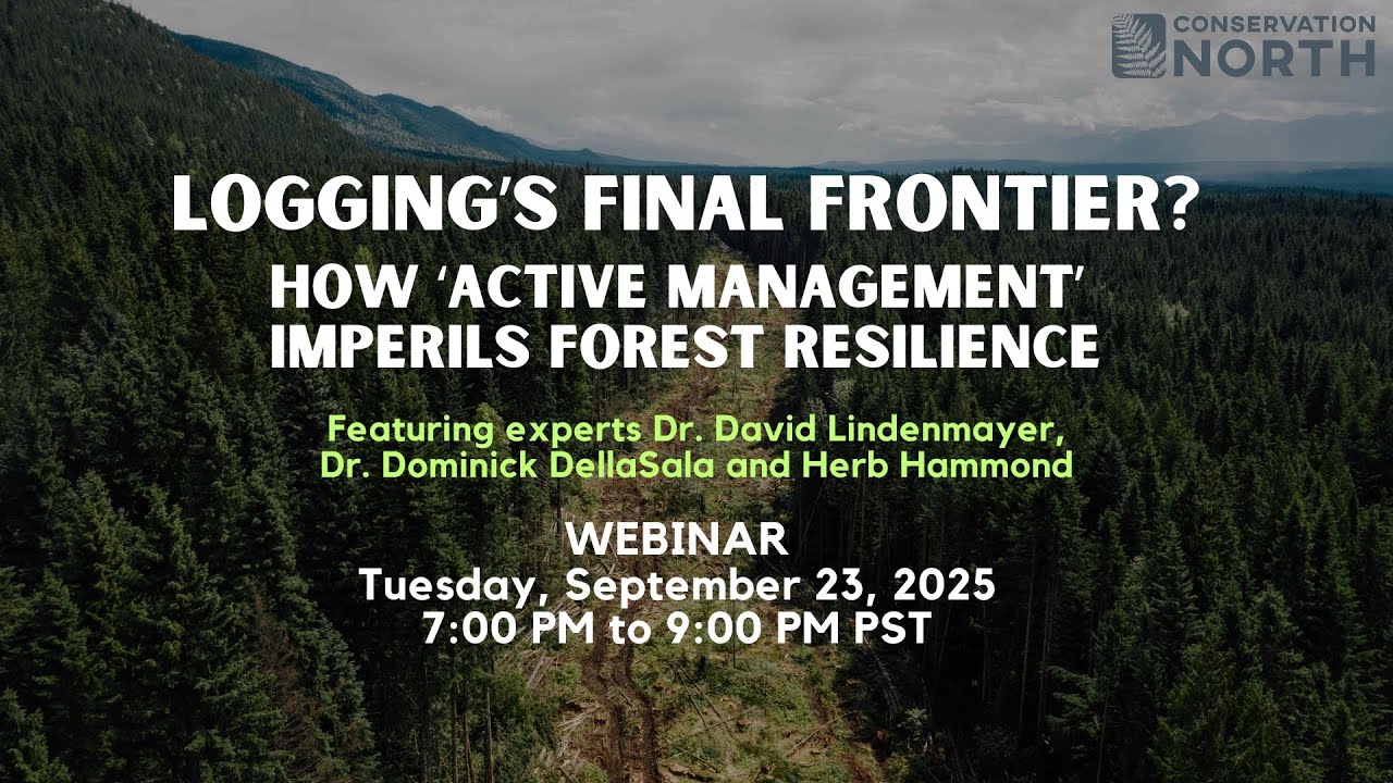 Logging's Final Frontier? How 
