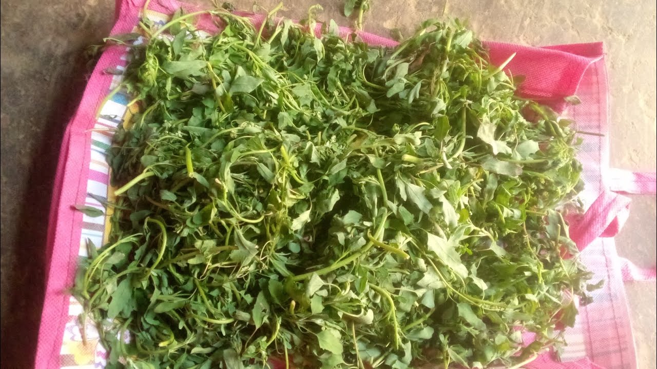 হ্যালো বন্ধুরা ওয়েলকাম মাই ব্লক ভিডিও সবাই একটু ব্লক ভিডিওটা দেখো আর শেয়ার করো বন্ধুদের মাঝে