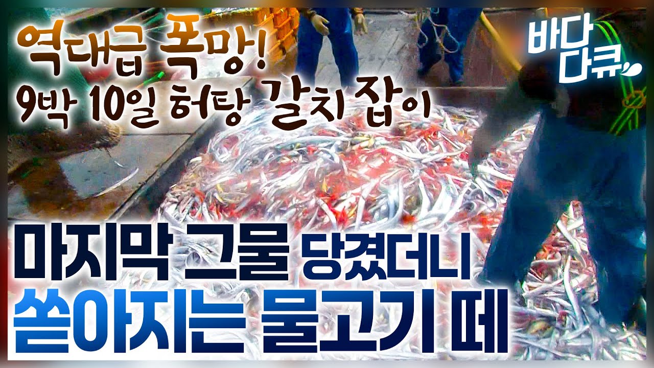 인생은 삼세판, 역대급 폭망한 갈치 조업에 마지막 승부수 던지는 선원들 / 터졌다, 터졌어! 딱 한번 성공에 대박난 갈치잡이 배 / #바다다큐