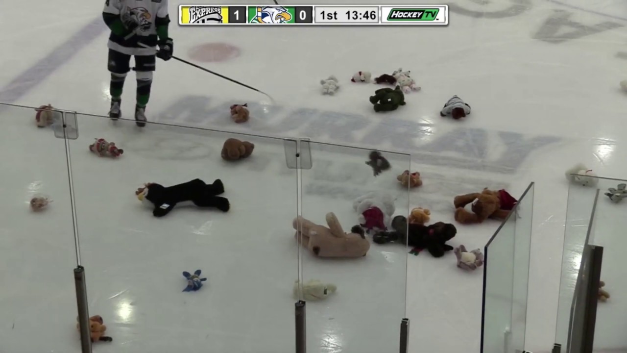 Surrey Eagles Teddy Bear Toss 2018