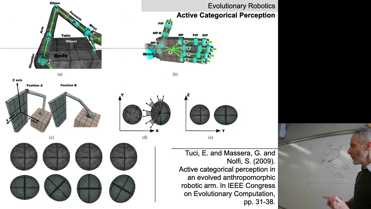 Lecture 12 of Evolutionary Robotics: Legged locomotion.