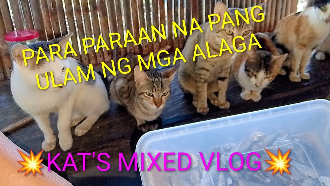 KUNG WALANG TINAPA GANITO ANG GAWIN NATIN.(SARIWANG ISDA GAWING TUYO) /KAT'S MIXED VLOG 