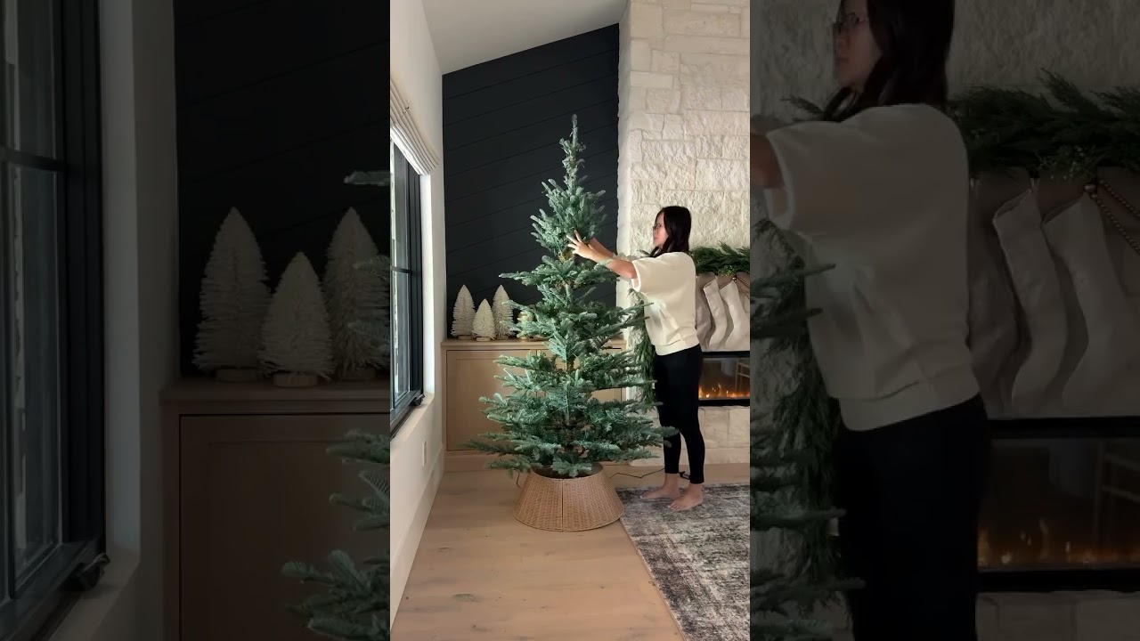 The King Noble Fir 🎄