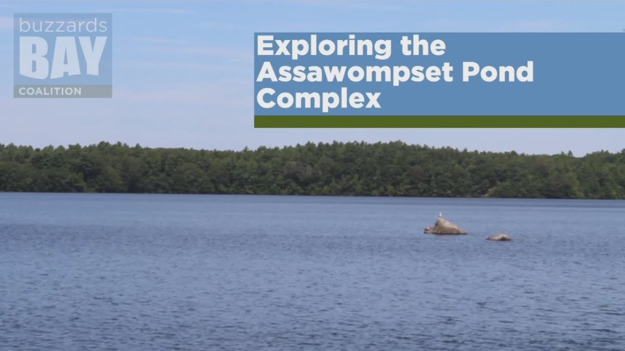 How to Explore the Assawompset Pond Complex