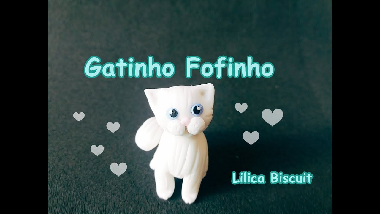 Passo a Passo  - Gatinho Fofinho