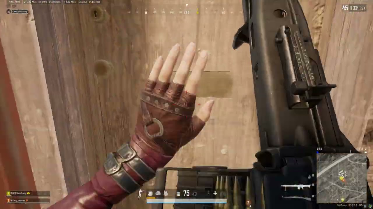 Красивый Топ-1 с самим Bishop_Nether. PUBG. No RECRENT