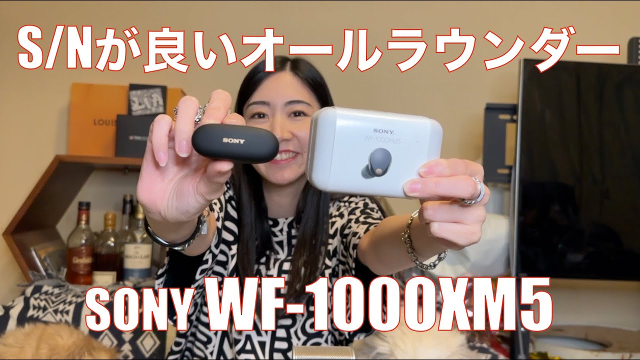 【 SONY WF-1000XM5 】AirPodsPro2のライバルは、ライバルとして充分だった！【S/Nはとても良くなっている】