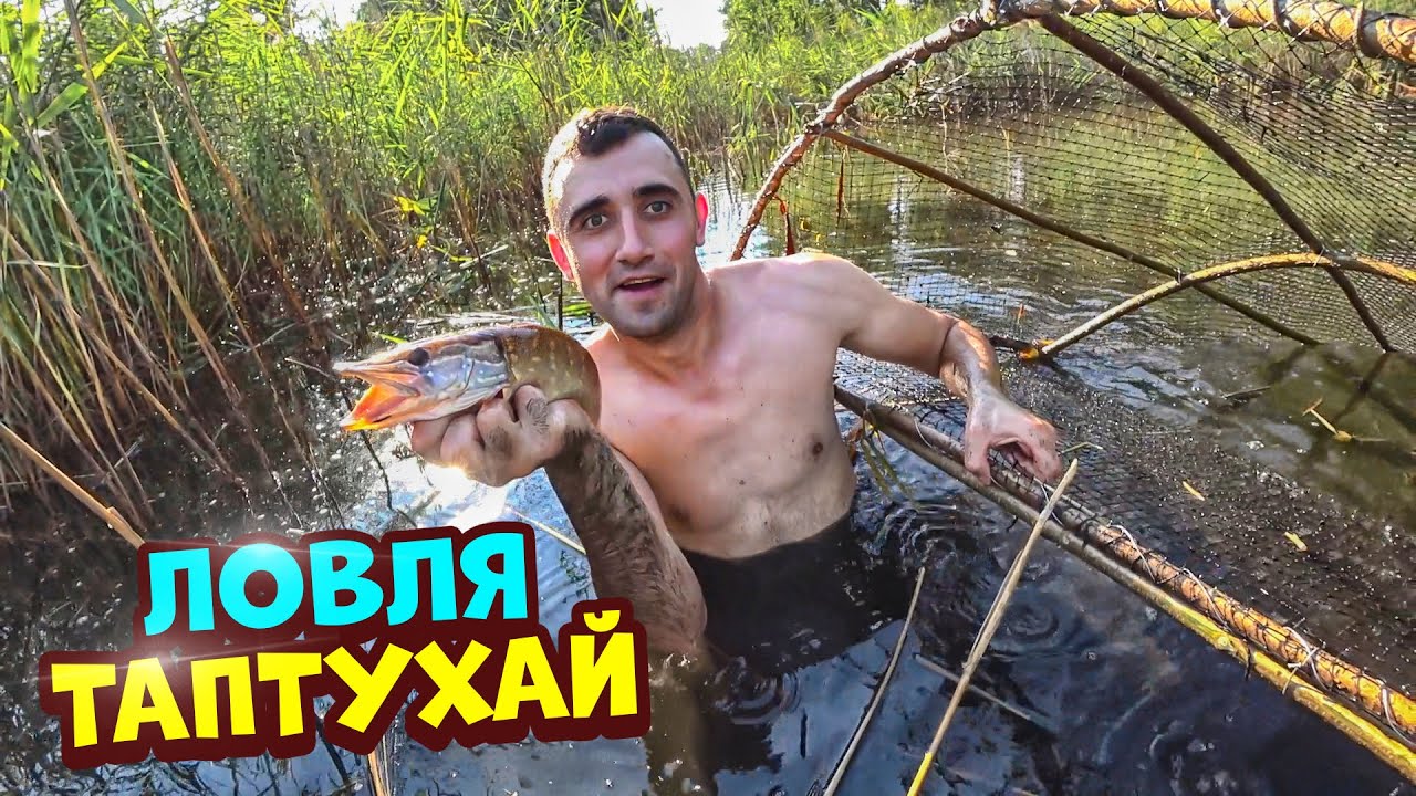Ловля рыбу ловушкой, на болоте и на пруду.Неожиданный улов.
