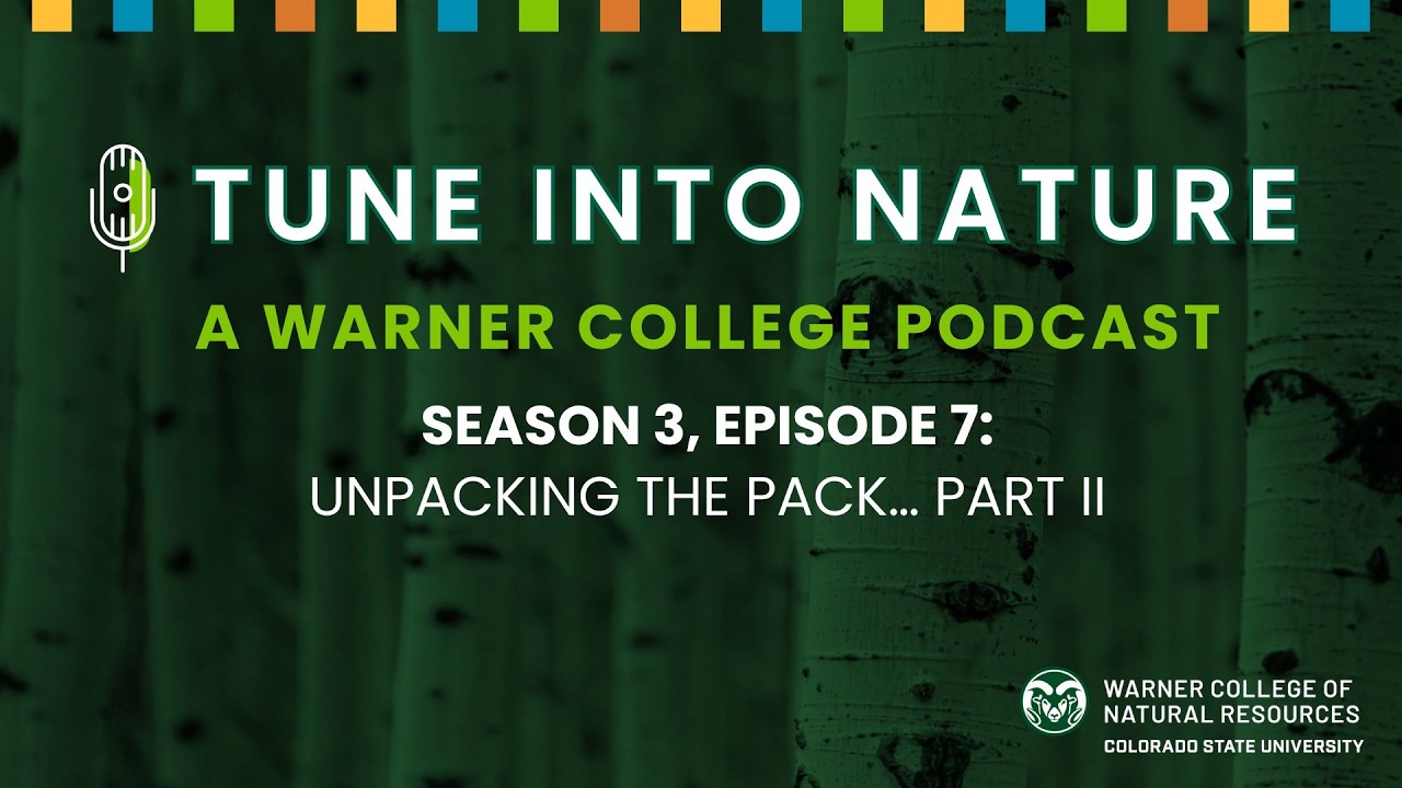 Tune Into Nature S3 EP7: Unpacking the Pack… Part II