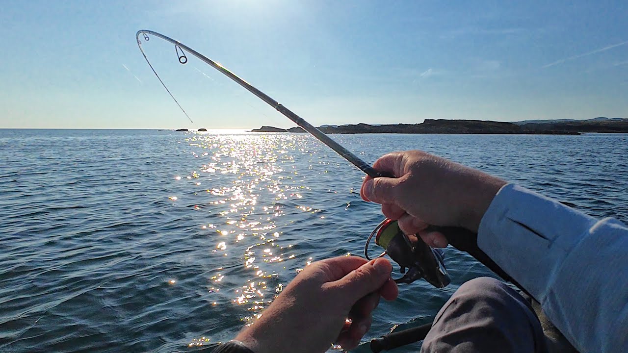 FANTASTIC lure fishing rod! Kuying Hangetsu tested on wrasse