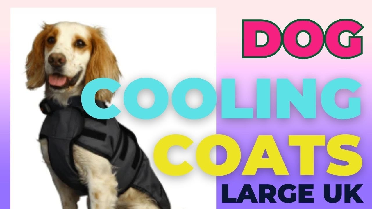 Dog Cooling Coats Large UK | Pet Devotion