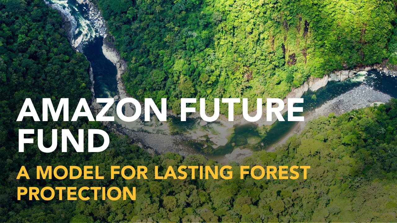 Amazon Future Fund: A Groundbreaking Model for Lasting Forest Protection