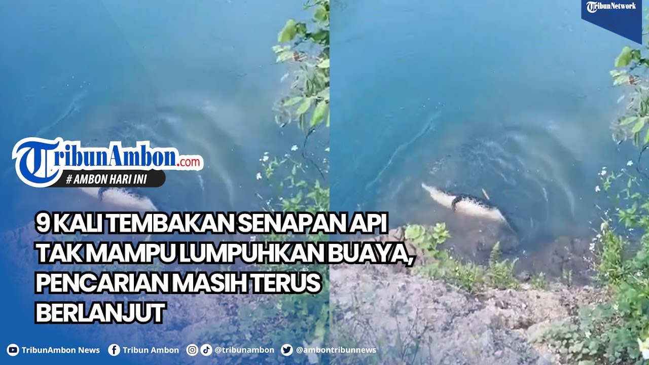 9 Kali Tembakan Senapan Api Tak Mampu Lumpuhkan Buaya, Pencarian Masih Terus Berlanjut