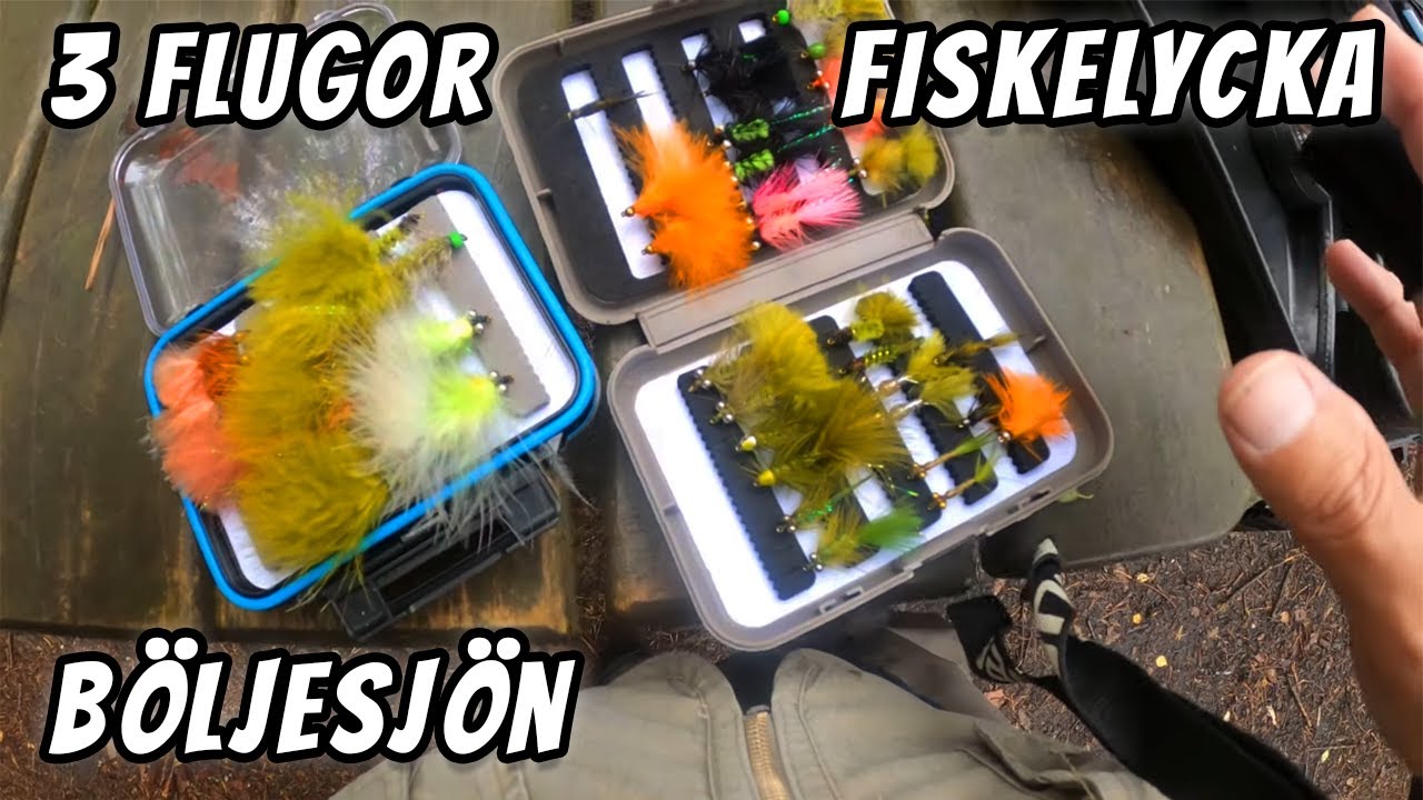 3 Fiskar På 3 Flugor Du MÅSTE Ha | Fiskelycka