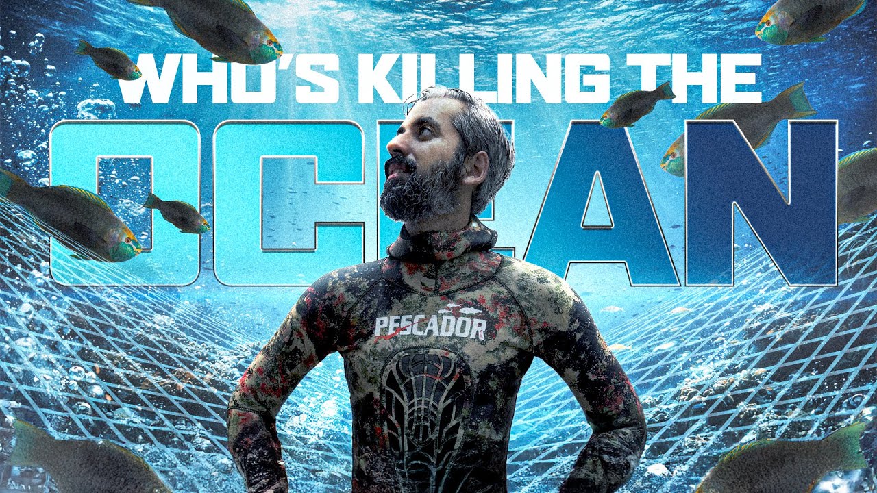 He Called Us KILLERS? (Spearfishing vs Nets)