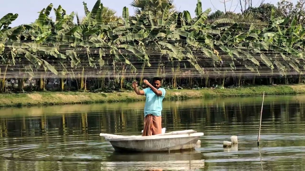 পুকুরে ডুবন্ত ফিড দিলাম 