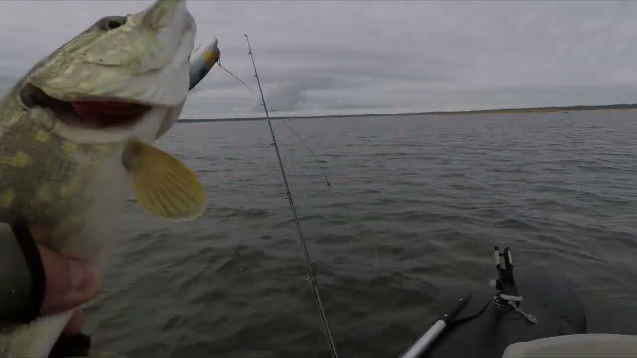 SSR воблер №1 в 2025 г. КРУЧЕ чем DAIWA CROSSWAKE 111R. ЩУКА от НЕГО ДУРЕЕТ и ЕСТ ЕГО