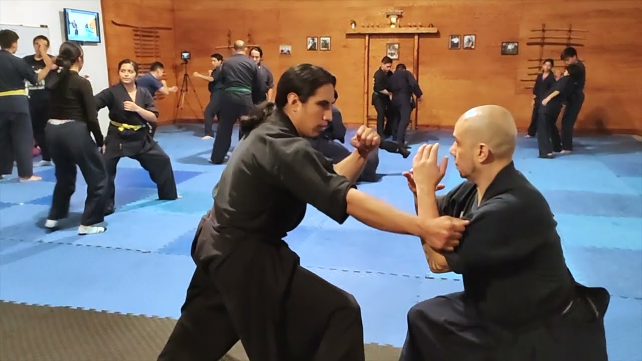Jinenkan (Artes Marciales Japonesas) Muso Dori