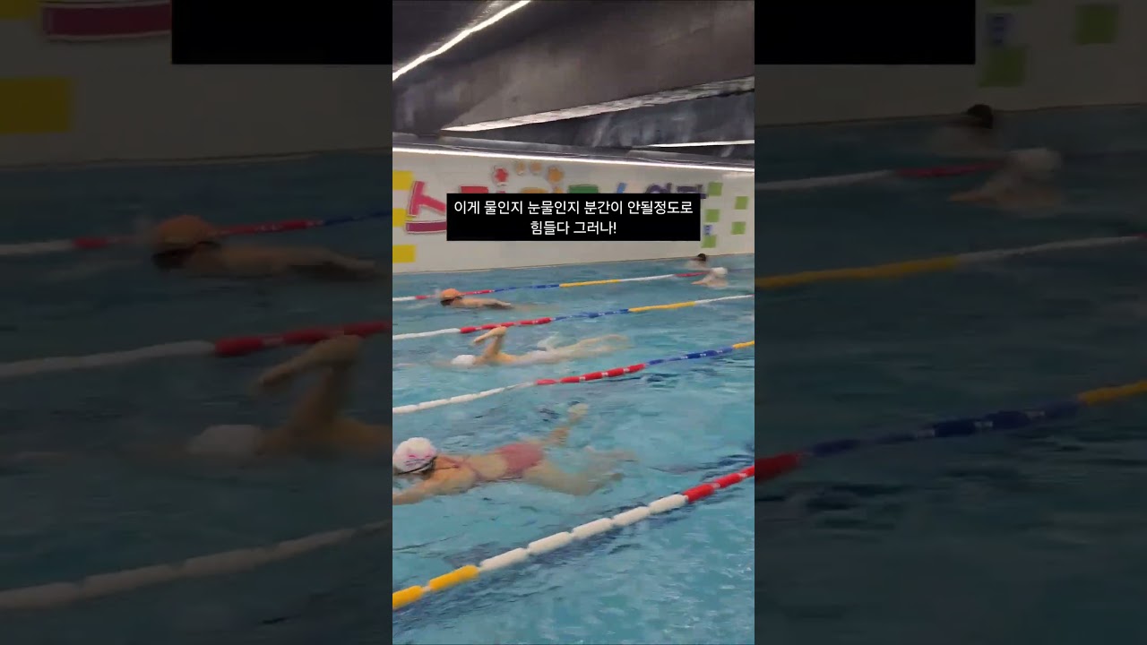 수영을 혹독하게 시키는 이유를 알아보자