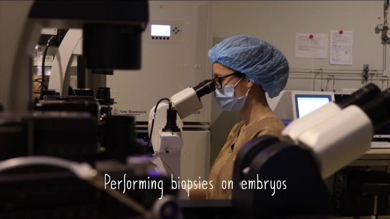 A Day in the Life : PGT Scientist