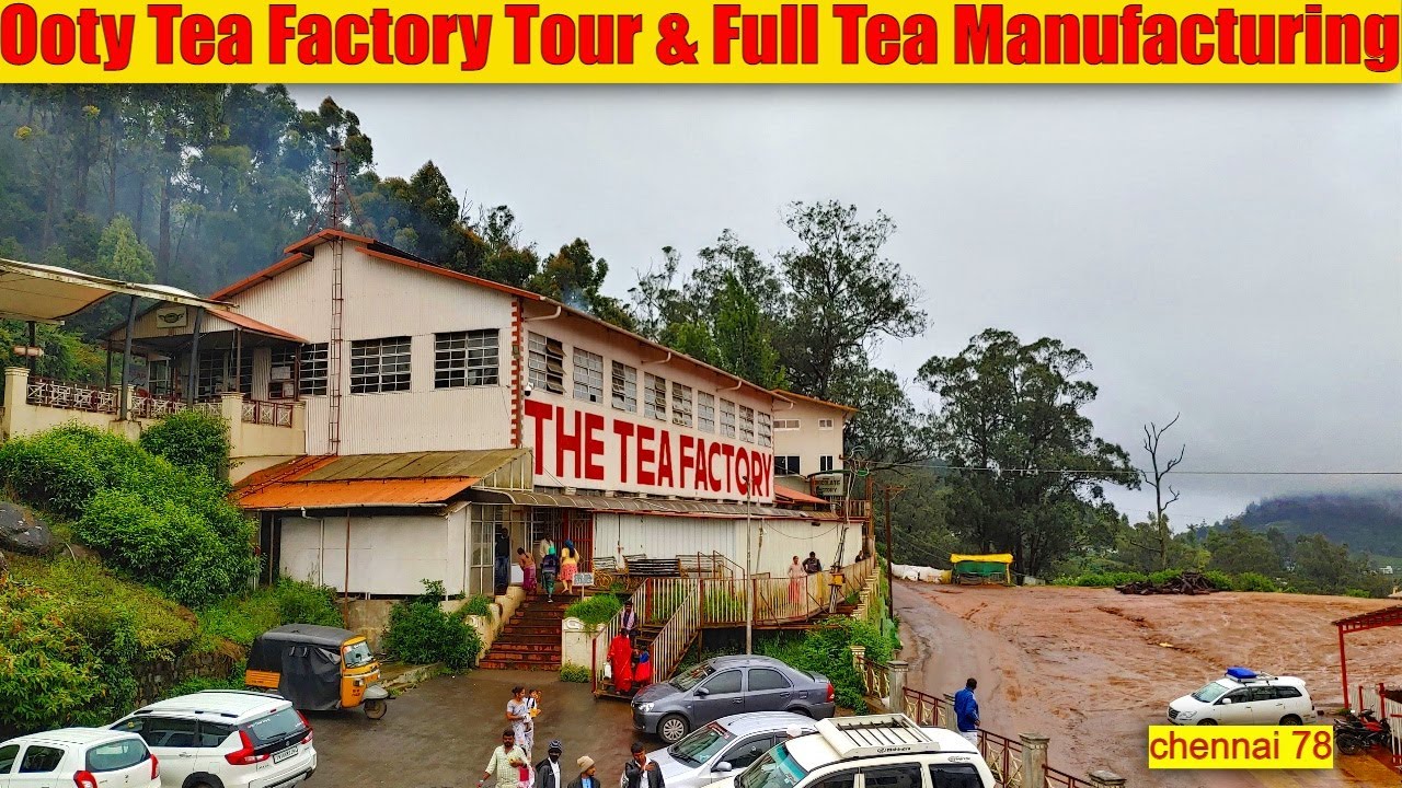 Ooty Tea factory Full Tour & Tea Manufacturing Process- chennai 78 #vlog #tamil #youtube #tea #ooty