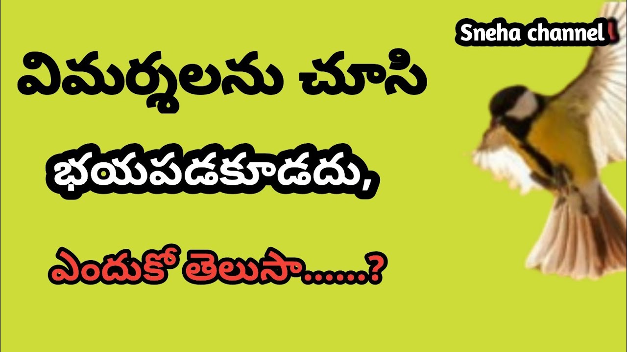 wonderful quotes#921#jivithasathyalu |Million dalar quotes |‌|Sneha channel